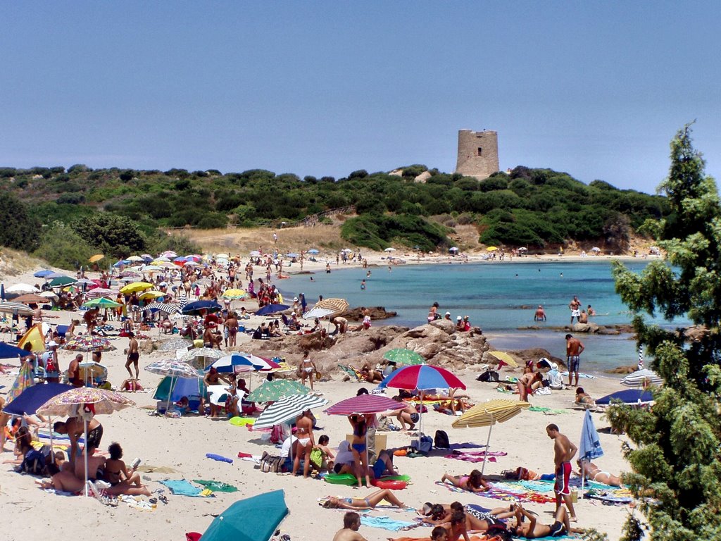Der Strand von Vignola in der Gallura auf Sardinien