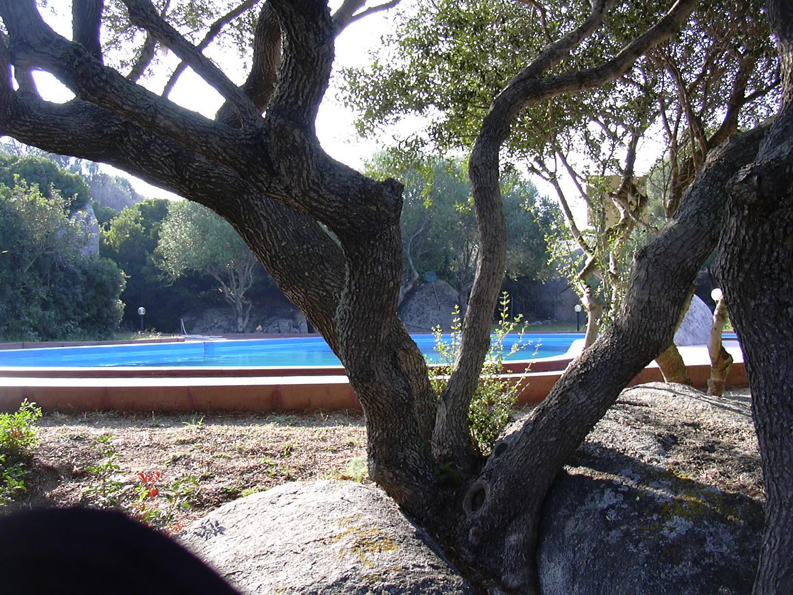 L'Uddastri case vacanza Santa Teresa Gallura - Foto 4
