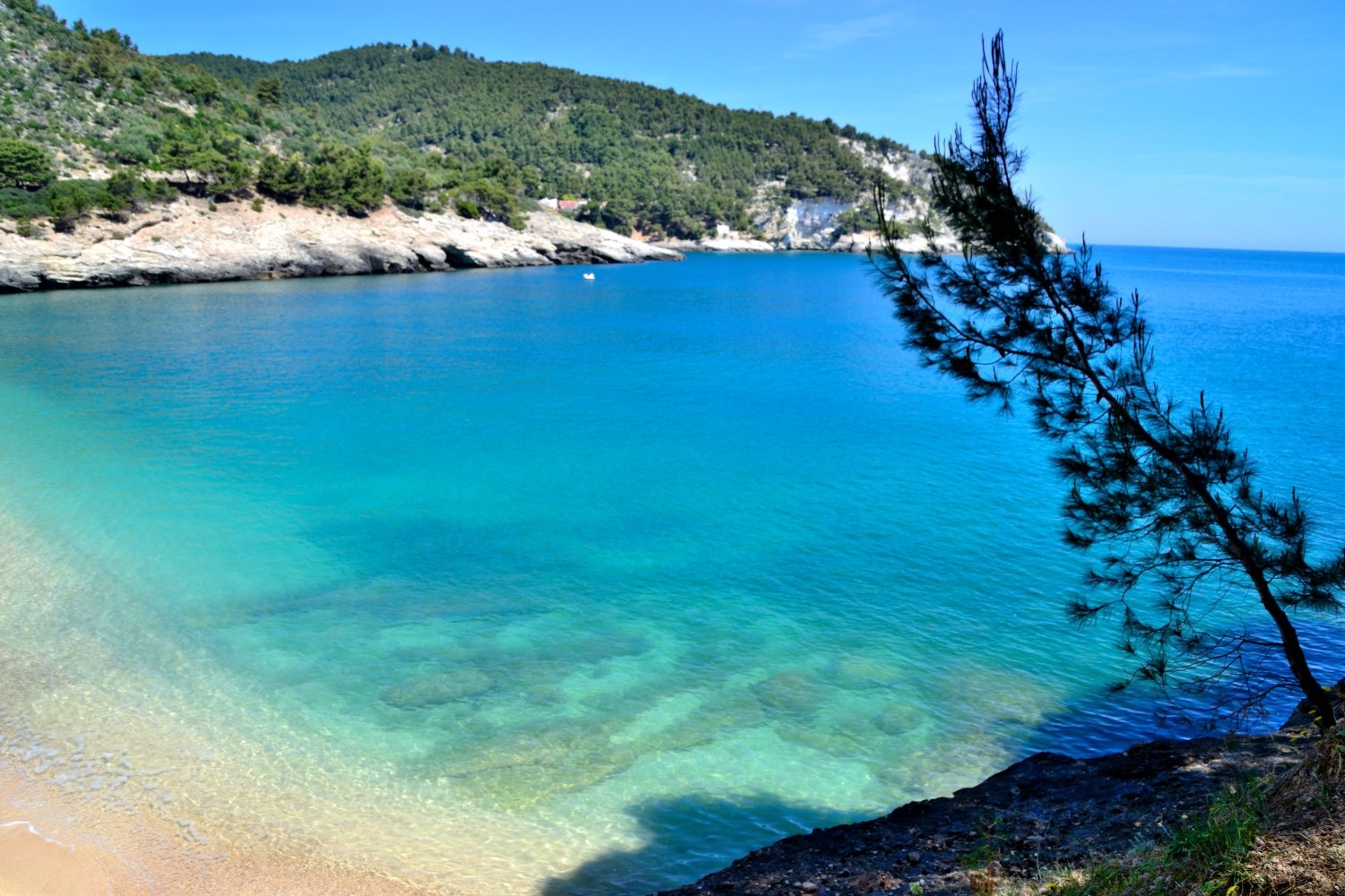 Main view