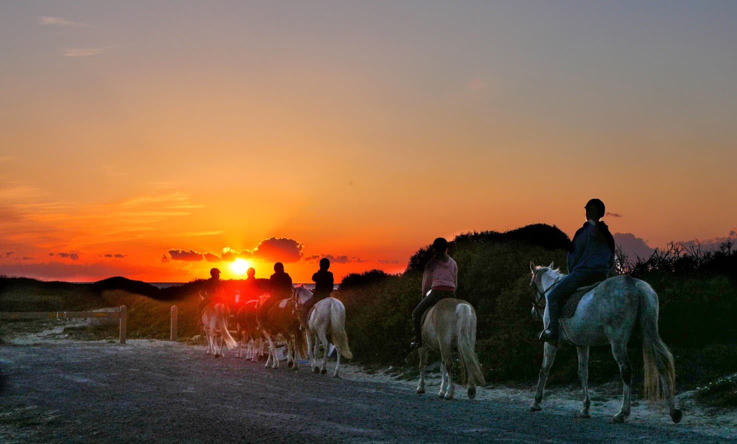 Arborea - Horse Country Resort - Foto 5